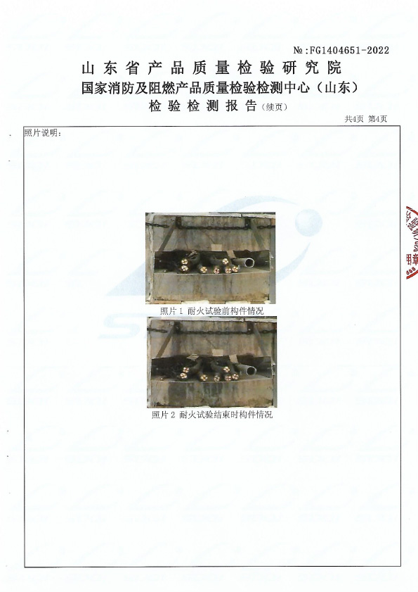 柔性有機(jī)堵料DR-A3型式試驗(yàn)報(bào)告